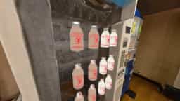 Screenshot for Daikokuyu