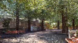 Screenshot for Digital Ueno Zoo West