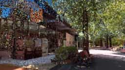 Screenshot for Digital Ueno Zoo West