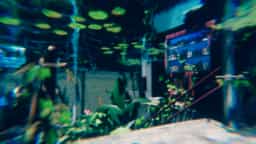 Screenshot for Steps of Time ⁄ 時間の階段